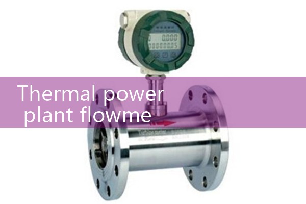 Thermal power plant flowmeter